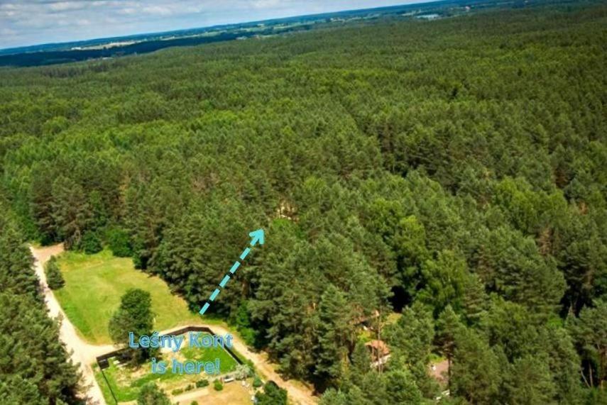 Holiday home Lesny Kont Mazury